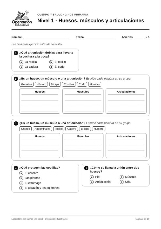 Ficha de el cuerpo humano para 2.º de Primaria: Huesos, músculos y articulaciones