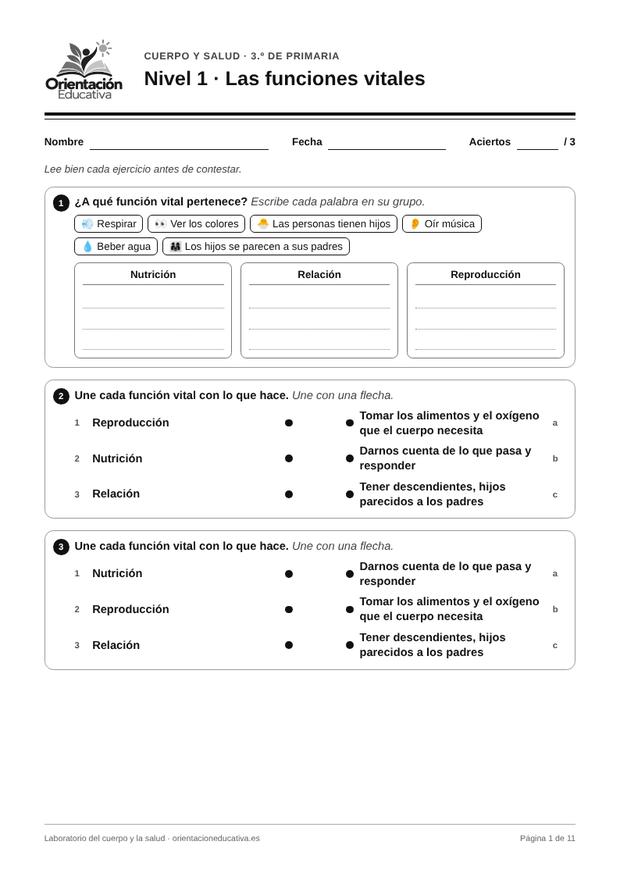 Ficha de el cuerpo humano para 3.º de Primaria: Las funciones vitales