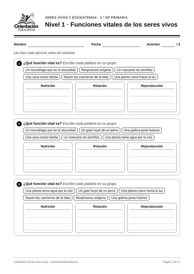 Ficha de seres vivos para 3.º de Primaria: Funciones vitales de los seres vivos