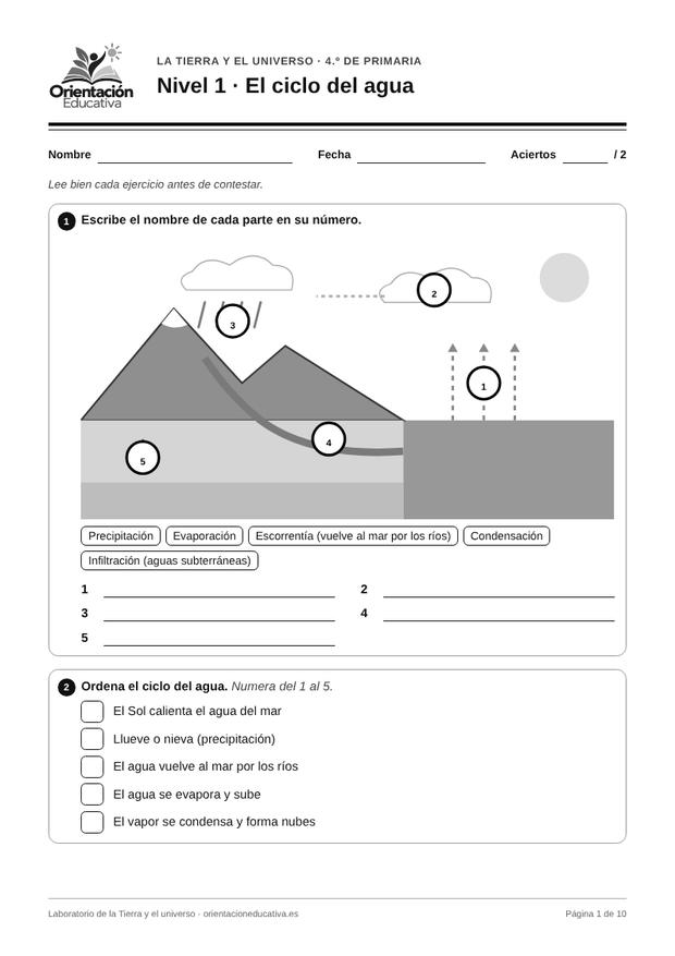 Ficha de la Tierra y el universo para 4.º de Primaria: El ciclo del agua
