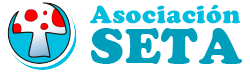 Directorio de psicólogos, logopedas y pedagogos infantiles
